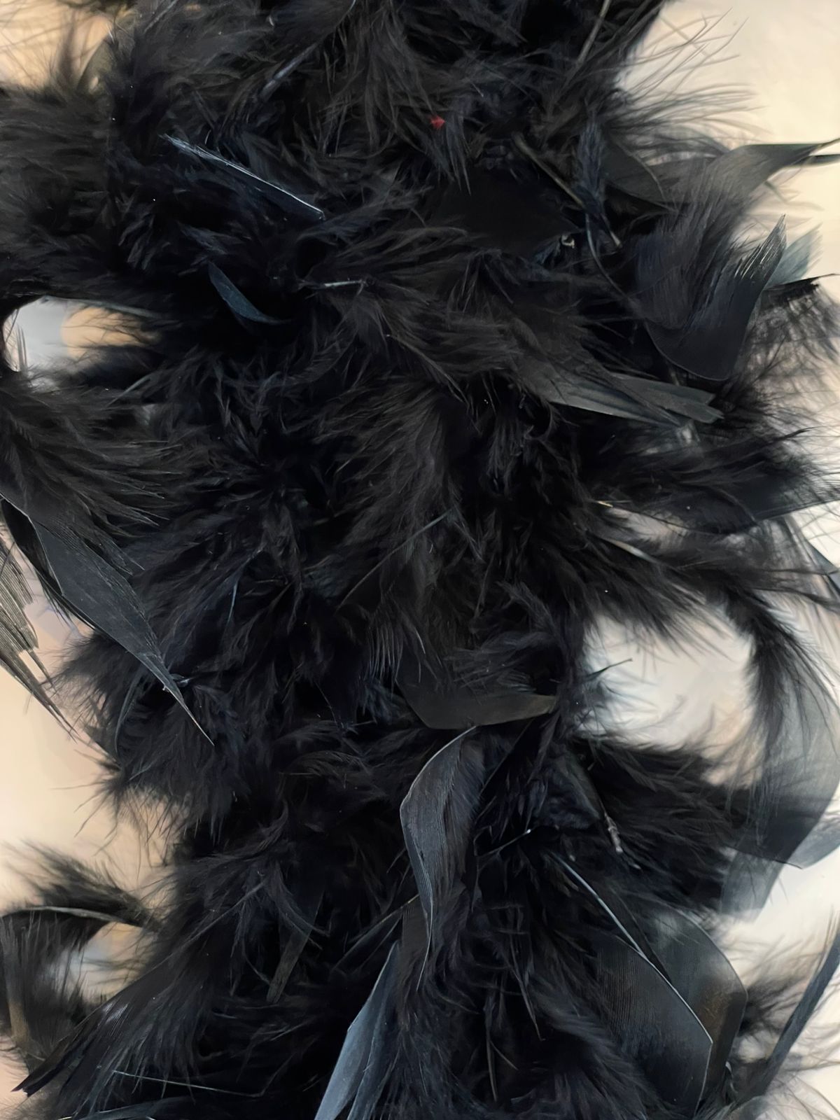 PLUMA AVESTRUZ PLUMA NEGRO