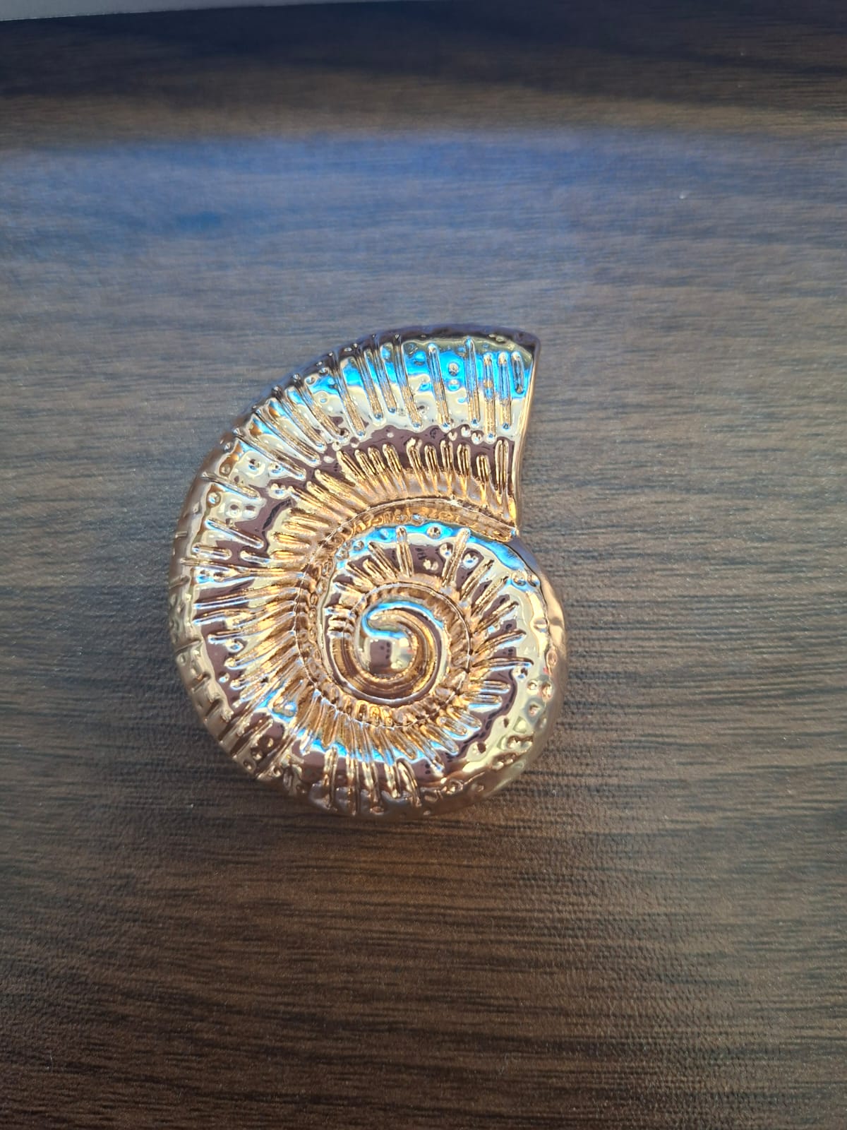 HEBILLA CARACOL GRANDE ORO-ROSA