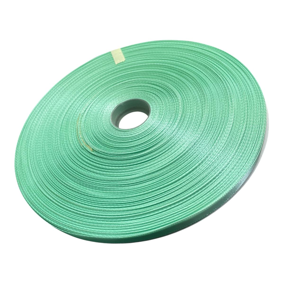 LISTON MENTA 1/4” 412AQUABL