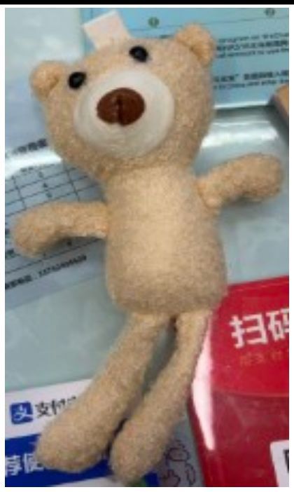 PELUCHE OSO COMPLETO GRANDE