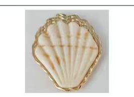 HEBILLA CONCHA BLANCA
