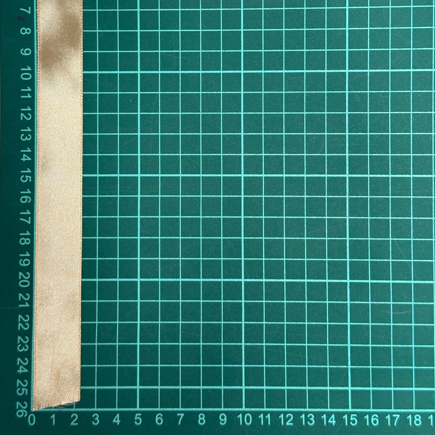 LISTON BEIGE 7/8” A167TAN