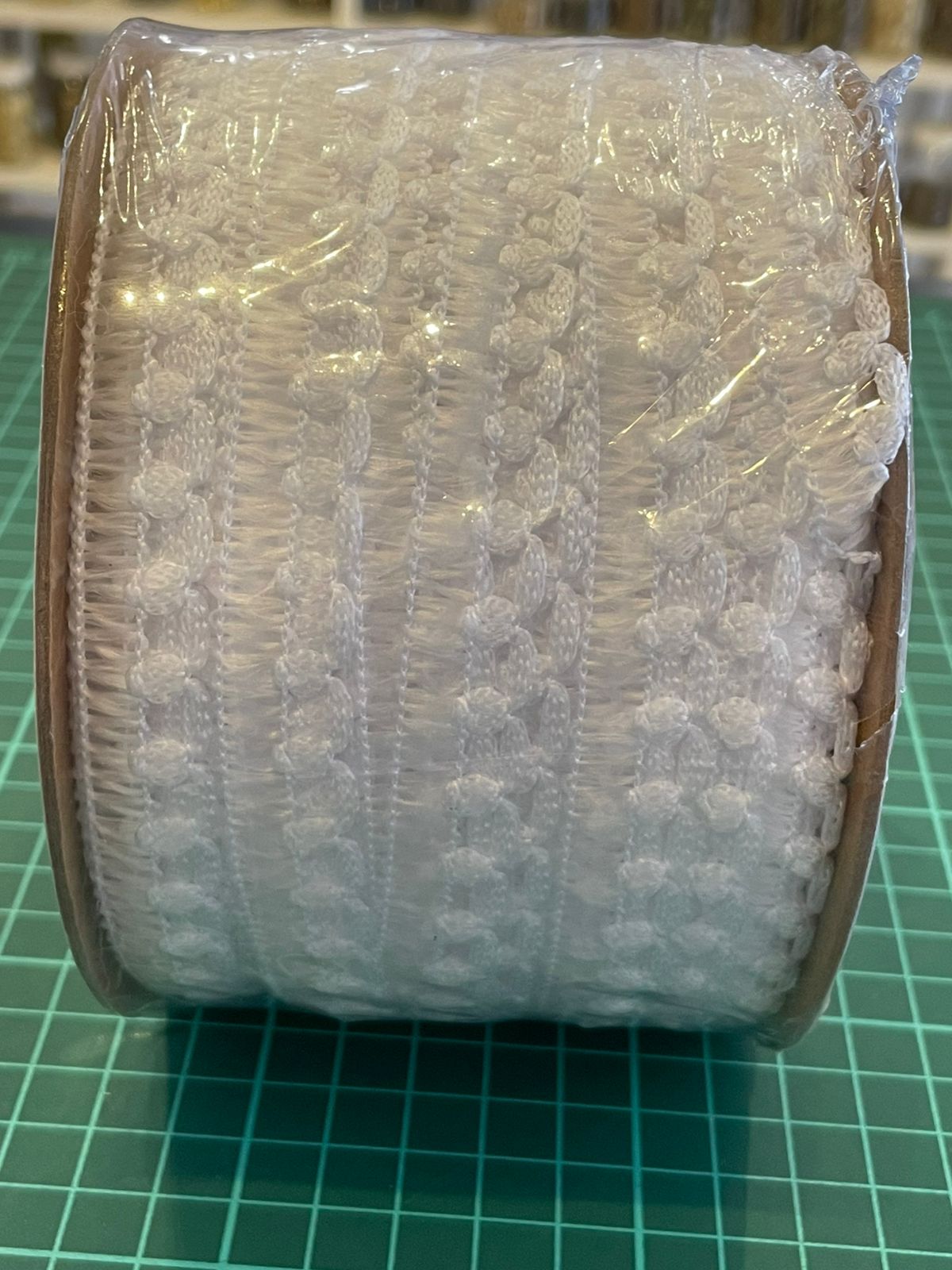 OREJA DE RATON BLANCO