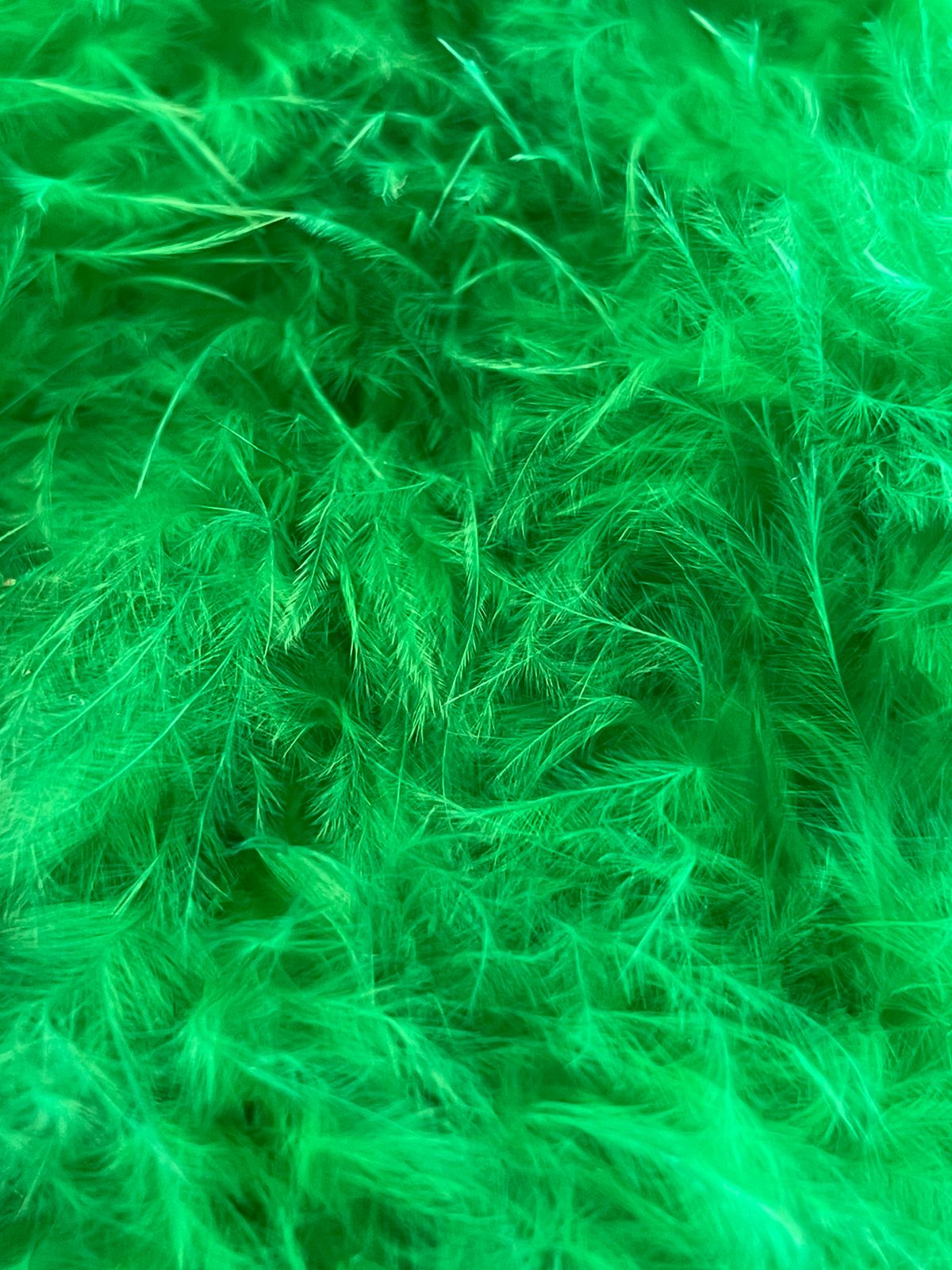 PLUMA MARABÚ MINI VERDE ESMERALDA