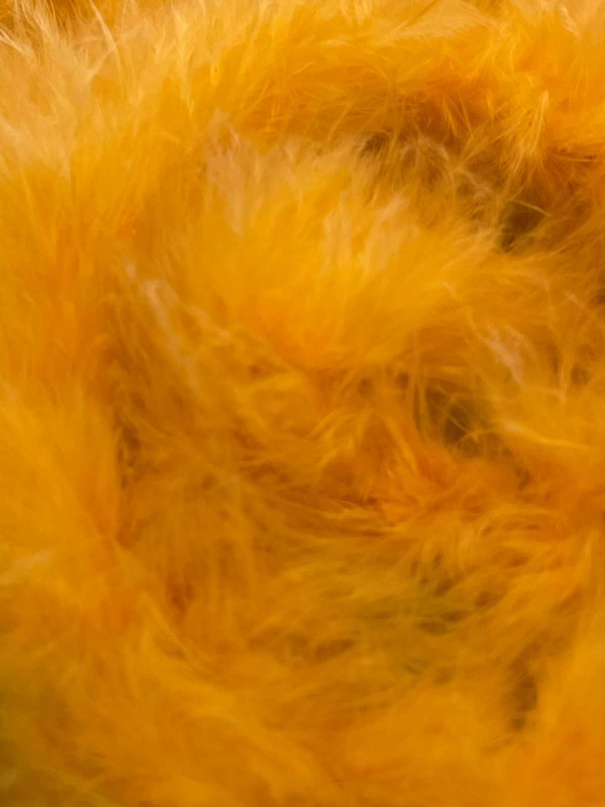 PLUMA MARABÚ MINI AMARILLO CALABAZA